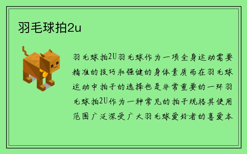 羽毛球拍2u